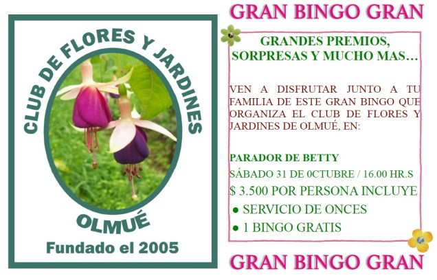 BINGO FLORES