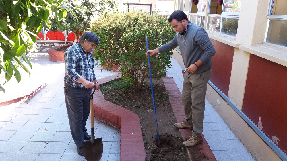 Plantado