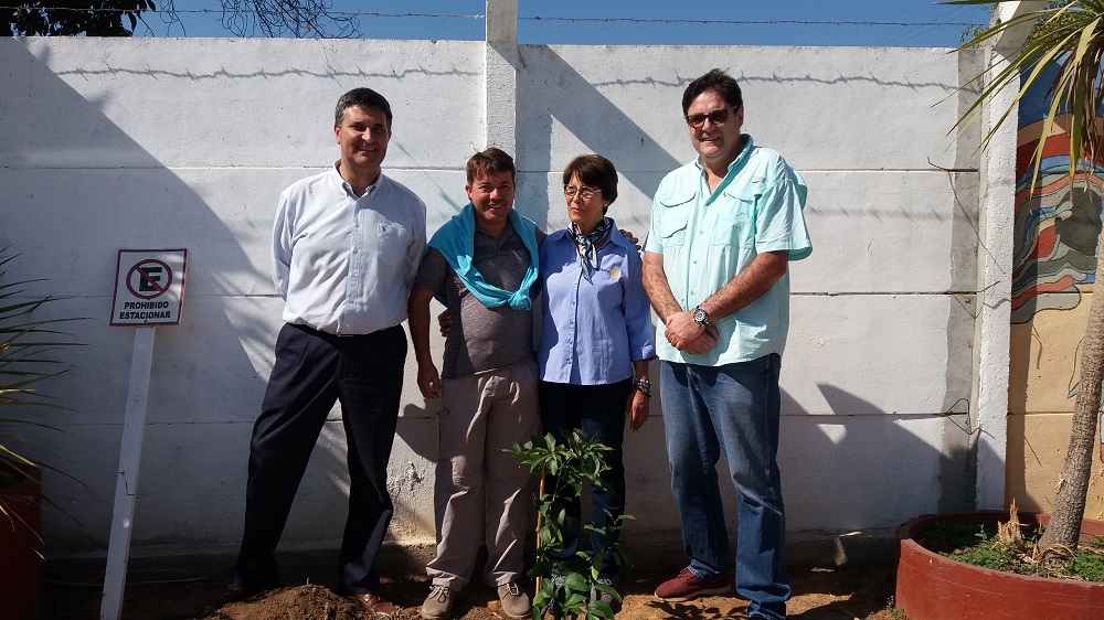 Rodrigo Jarufe, Alejandro Godoy, Laura Jara y Gonzalo Fontanes